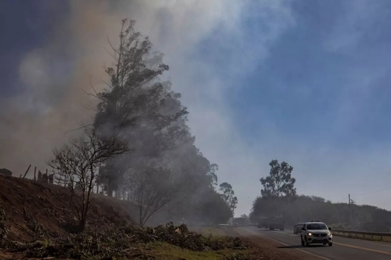 Kebakaran Hutan Amazon Asap Beracun Selubungi Kota Tebesar di Brasil