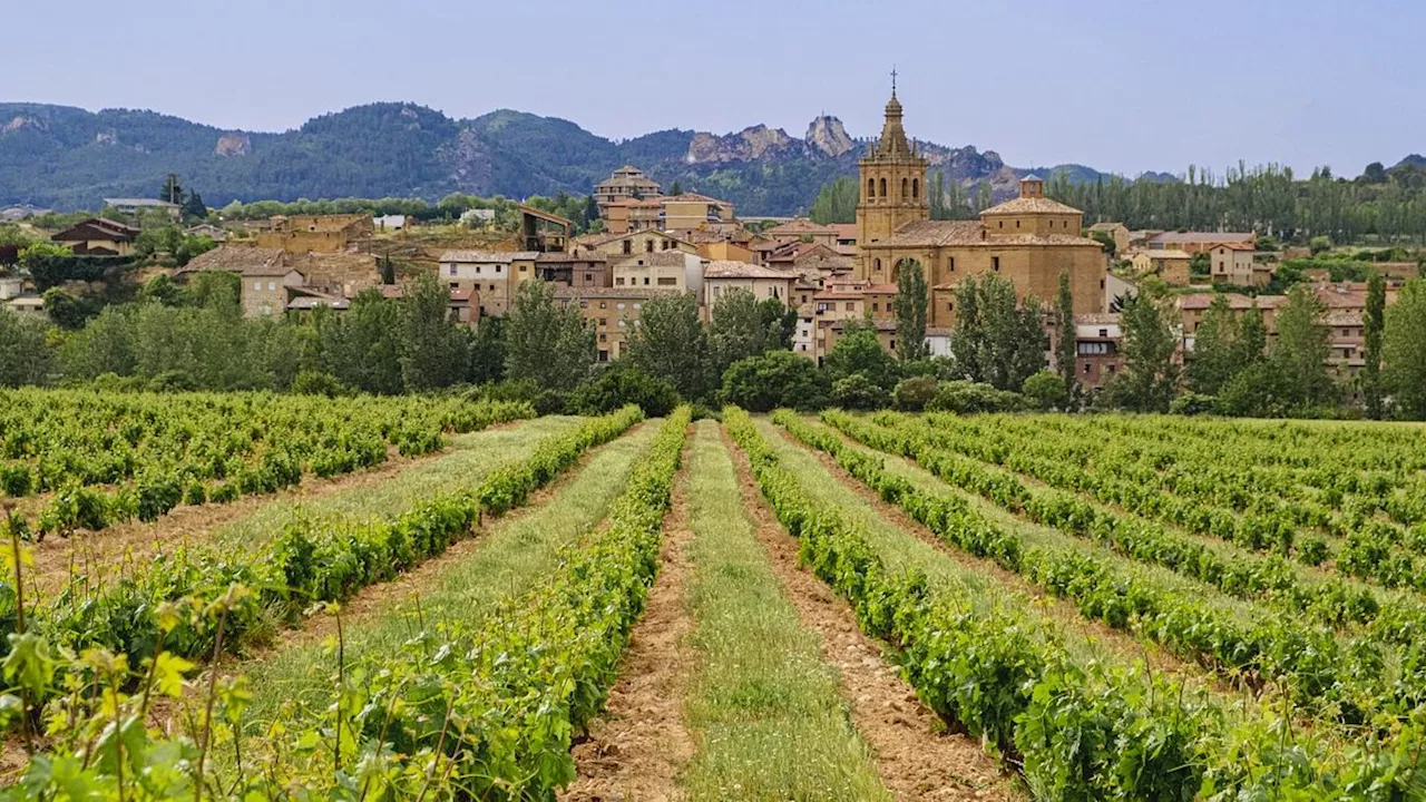 Spagna al profumo di mosto: le feste per la vendemmia