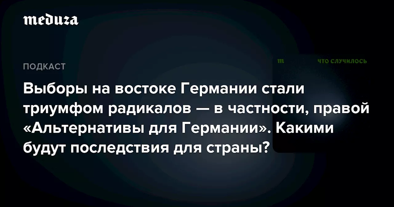 Выборы на востоке Германии стали триумфом радикалов — в частности, правой «Альтернативы для Германии». Какими будут последствия для страны? — Meduza