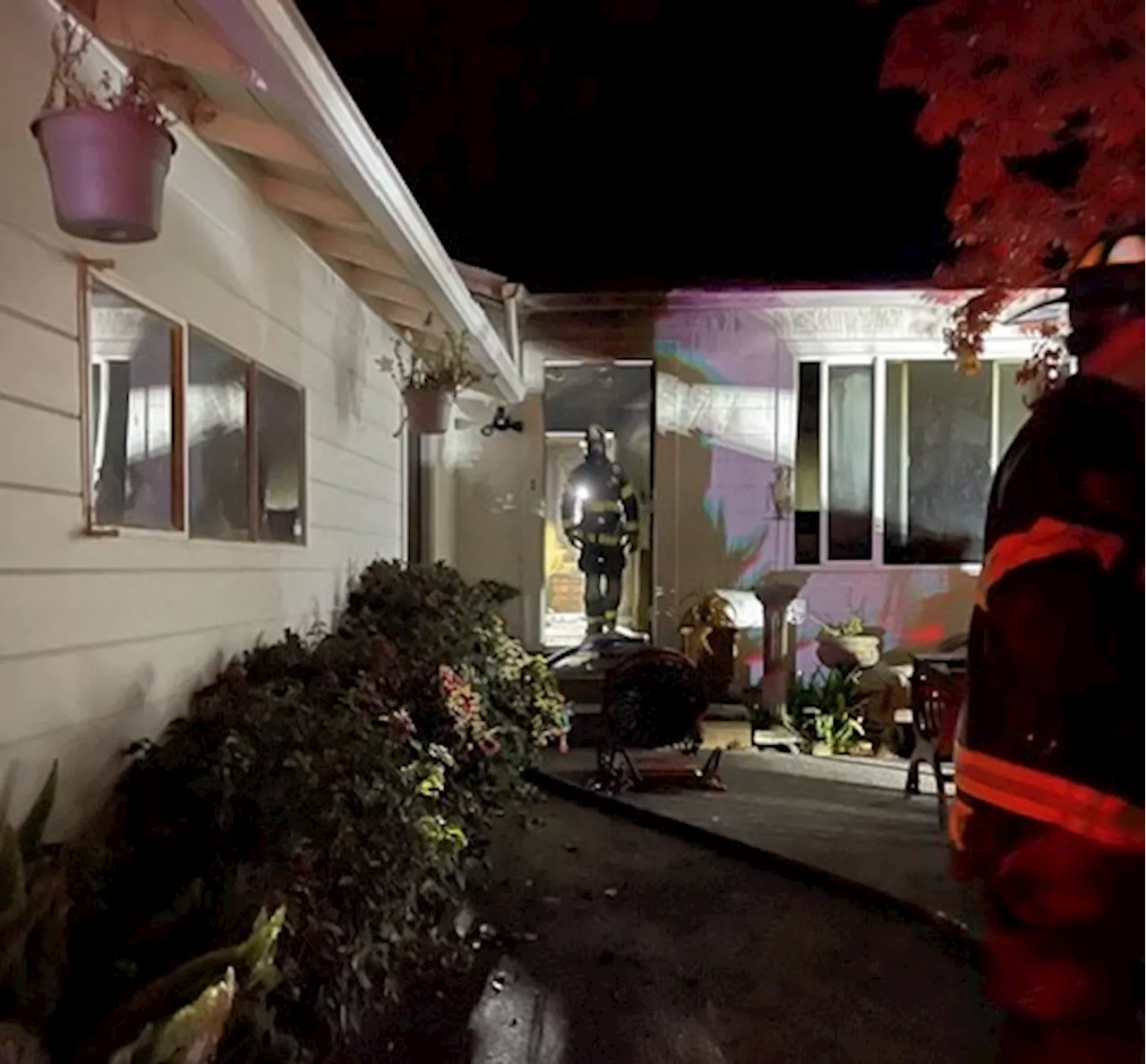 Mill Valley house fire kills resident and dog