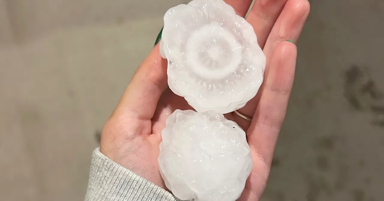 Hail may get bigger due climate change, raising insurance costs