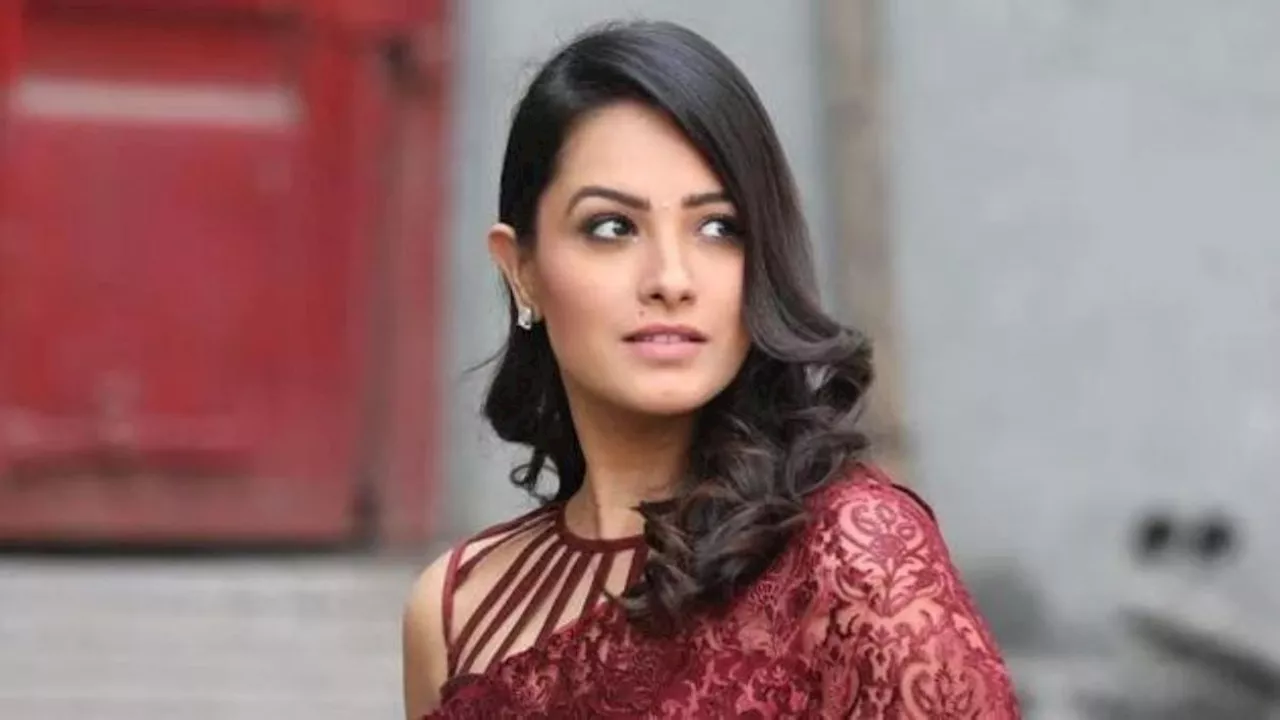 Anita Hassanandani : प्यार के लिए एक्ट्रेस ने दी करियर की कुर्बानी, बॉयफ्रेंड ने तोड़ा दिल, अब पछता रही हैं स्टार