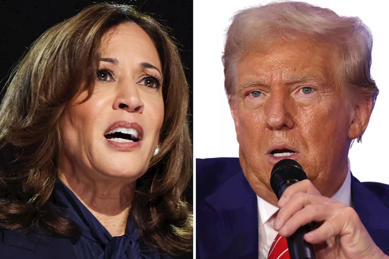 Donald Trump Pulls Ahead of Kamala Harris With Six Bookmakers