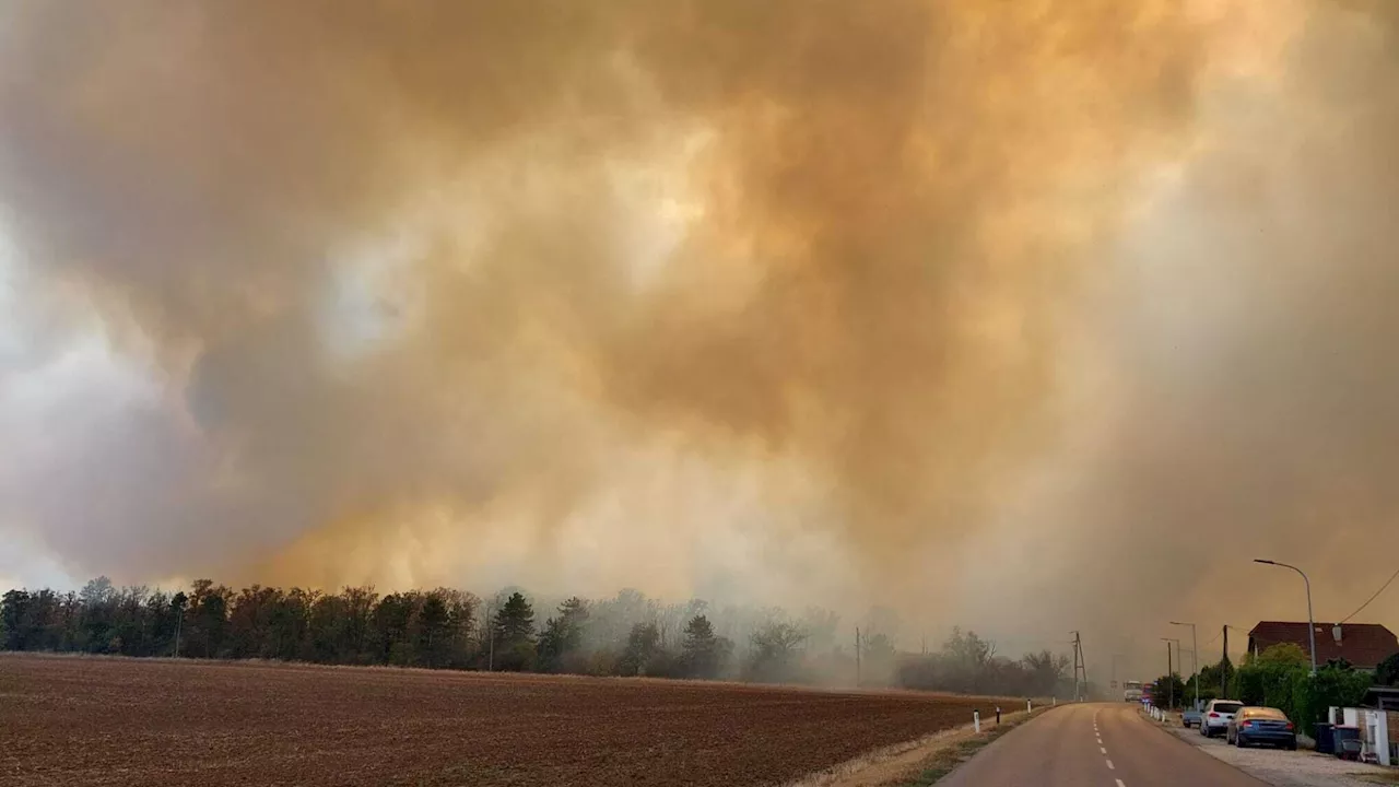 Gewaltiger Waldbrand wütet in der Bezirkshauptstadt Gänserndorf