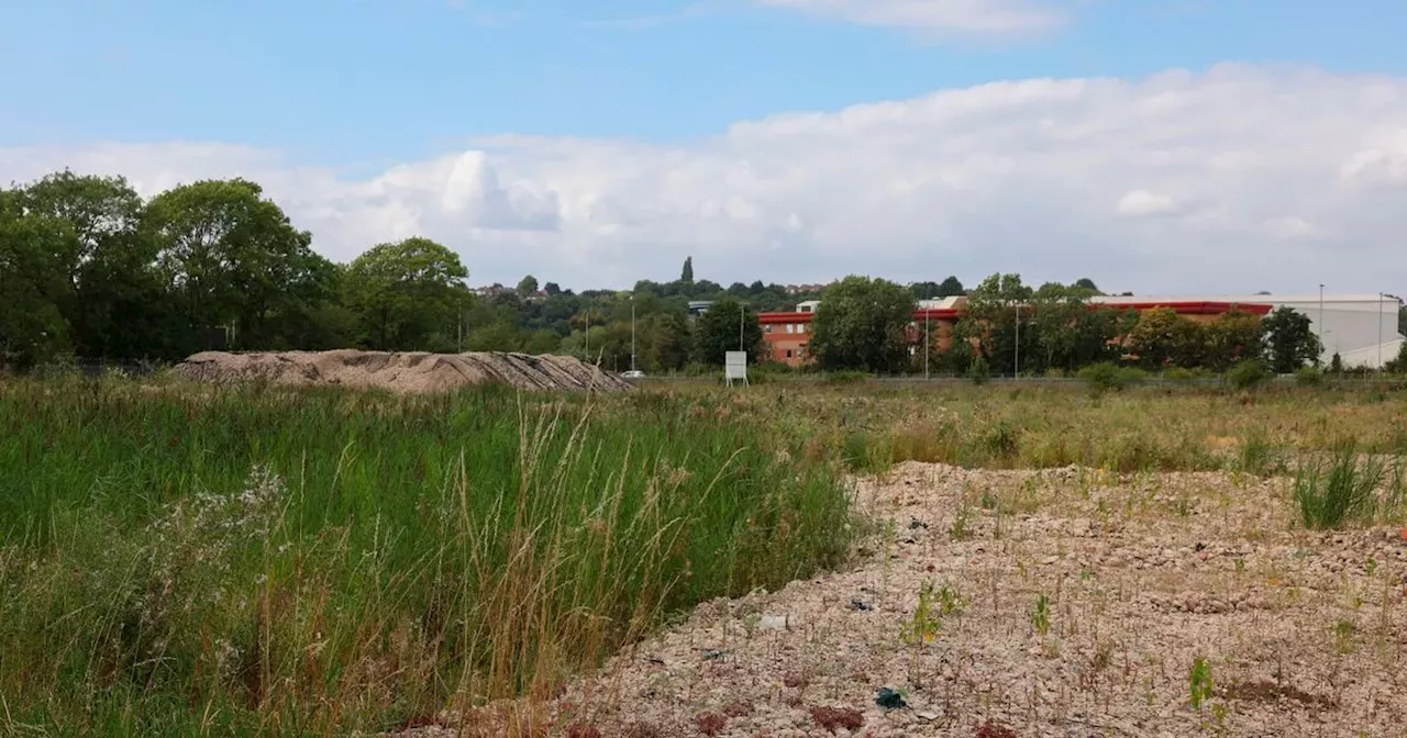 Developer selling off land at site after interested party dropped out