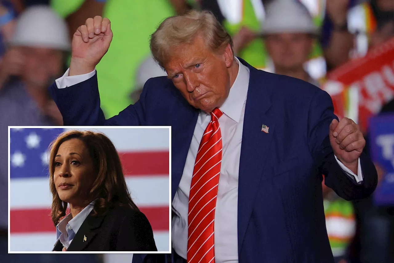 Latest swing state polls suggest Trump could score decisive victory against Kamala Harris