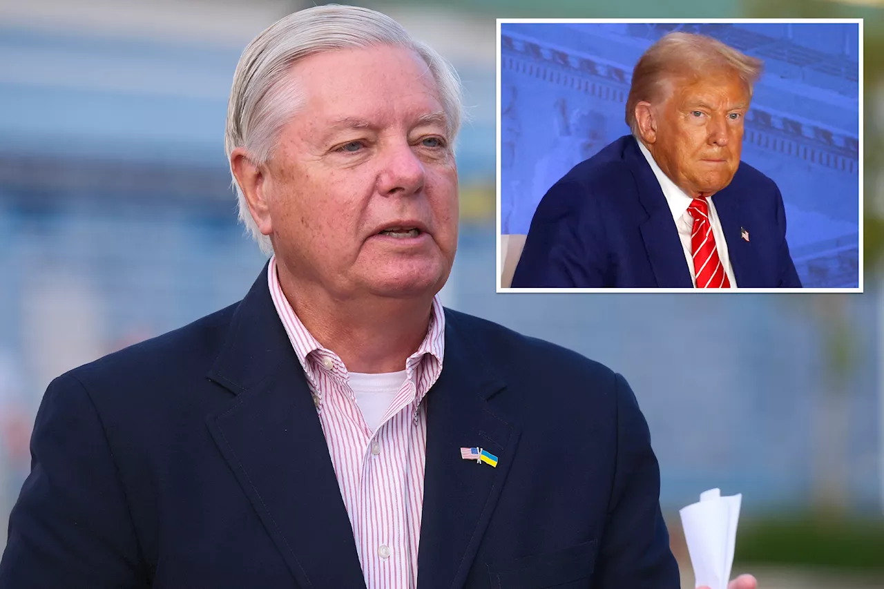 Sen. Lindsey Graham rejects Trump's free IVF plan: 'There's no end to that'