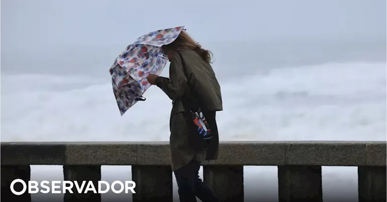 Berenice, Caetano, Ivo ou Vanda: estão escolhidos os 21 nomes para as próximas tempestades