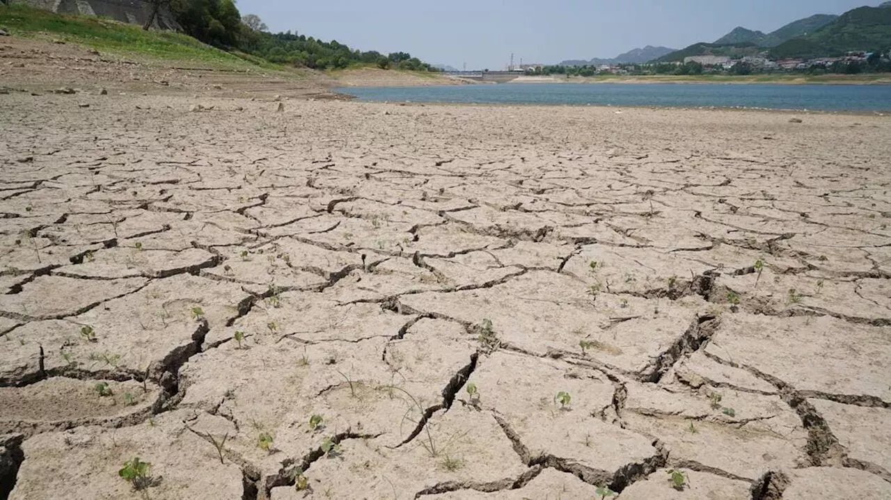 La Chine et le Japon battent des records de températures cet été