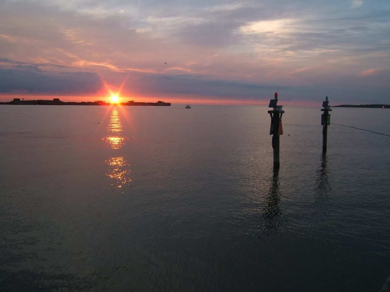 Scientists study mysterious invader in the Chesapeake Bay's largest underwater grass bed