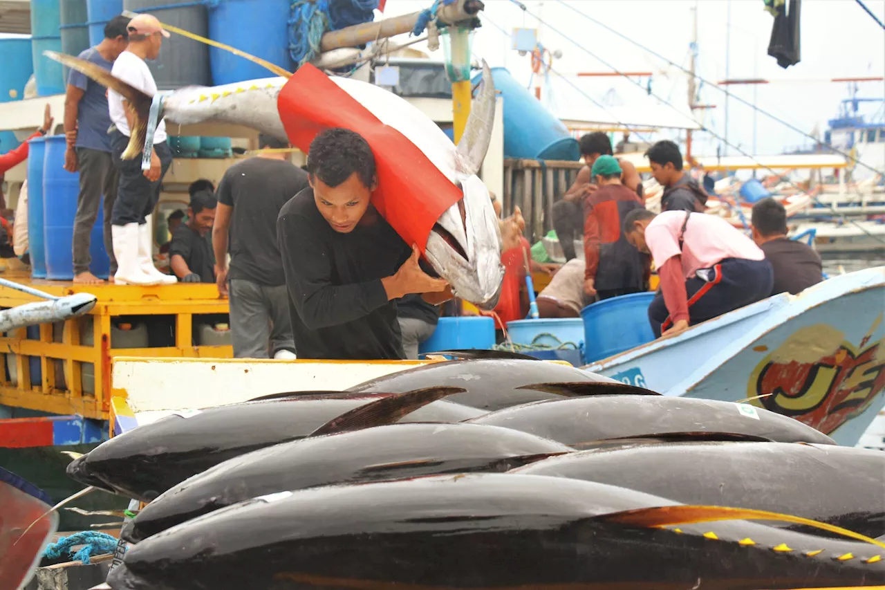 General Santos tuna festival obscures struggles of fishing industry workers