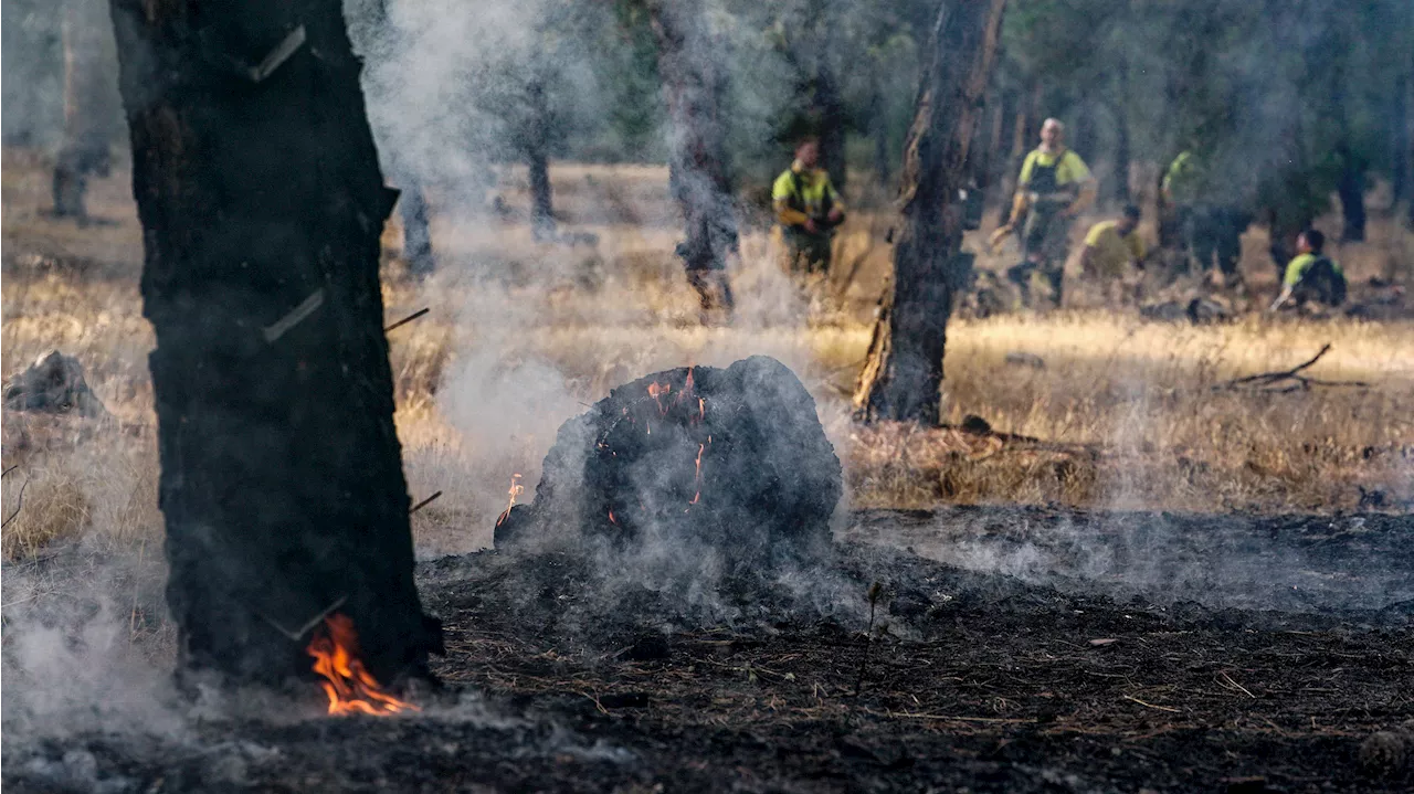 El fuego arrasa más de 42.300 hectáreas en lo que va de año, un 46,4% menos que en 2023