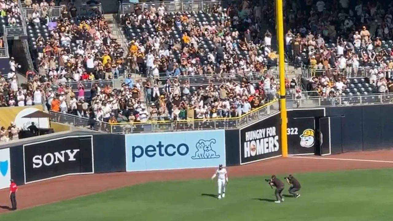 Padres Fans Give Fernando Tatis Jr. Wild Ovation in Return From IL