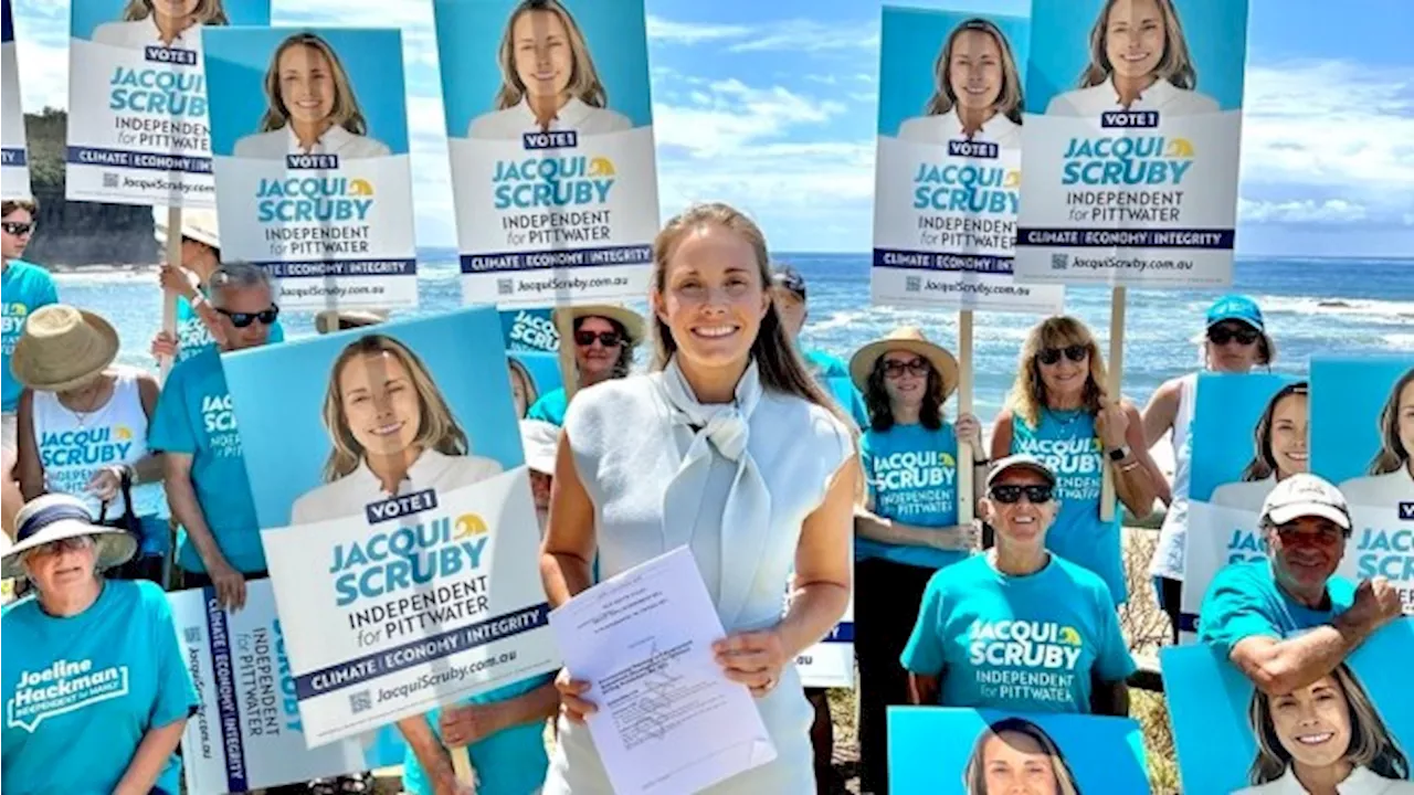 Teal mulls by-election run after Liberal MP hit with child sex charges