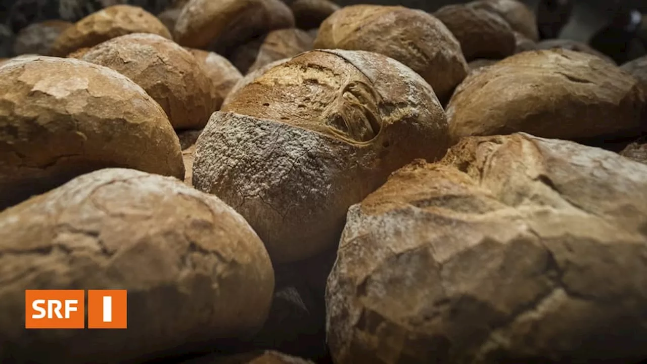 So vielfältig kann altes Brot verwertet werden