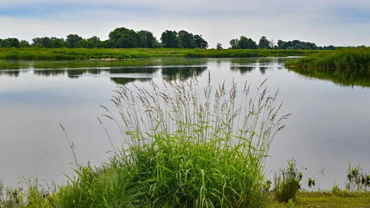 Wasserwirtschaft: Bund fördert grenzübergreifende Planung beidseits der Oder