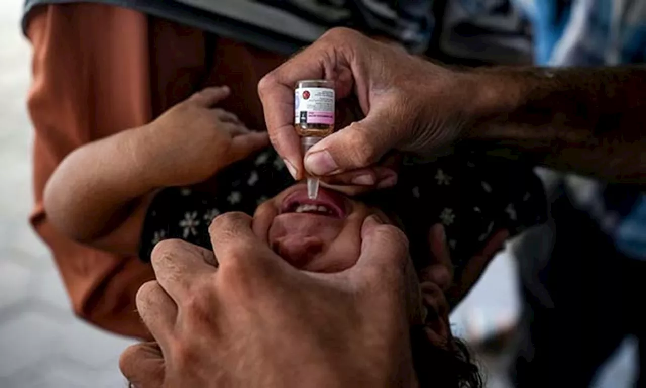 Large-scale polio vaccinations begin in war-ravaged Gaza after first case in 25 years