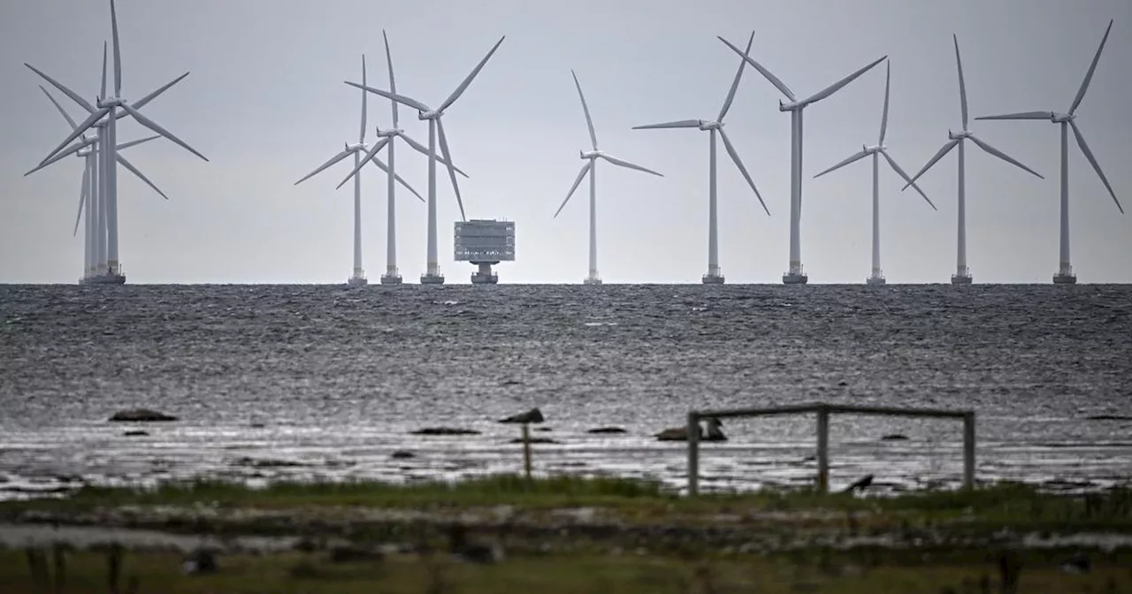 Vattenfall pausar vindkraftpark - 'inte lönsamt'