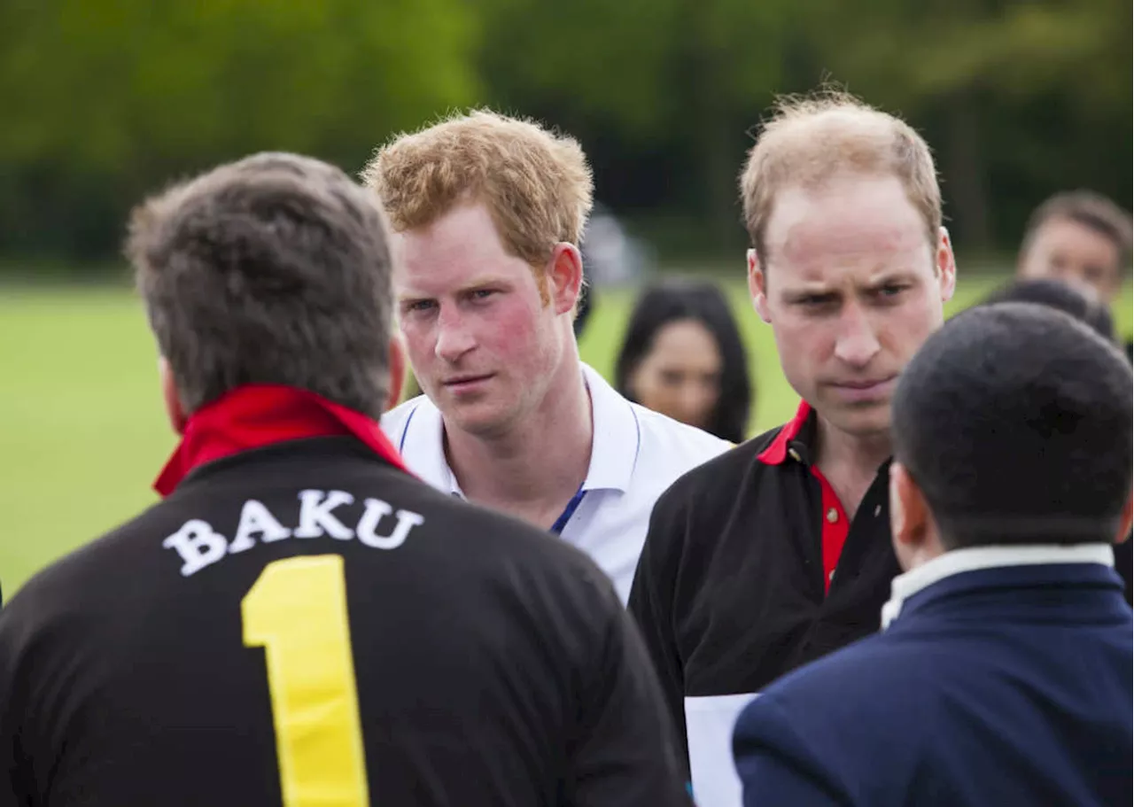 Keluarga Putri Diana Berusaha Keras Damaikan Pangeran William dengan Pangeran Harry