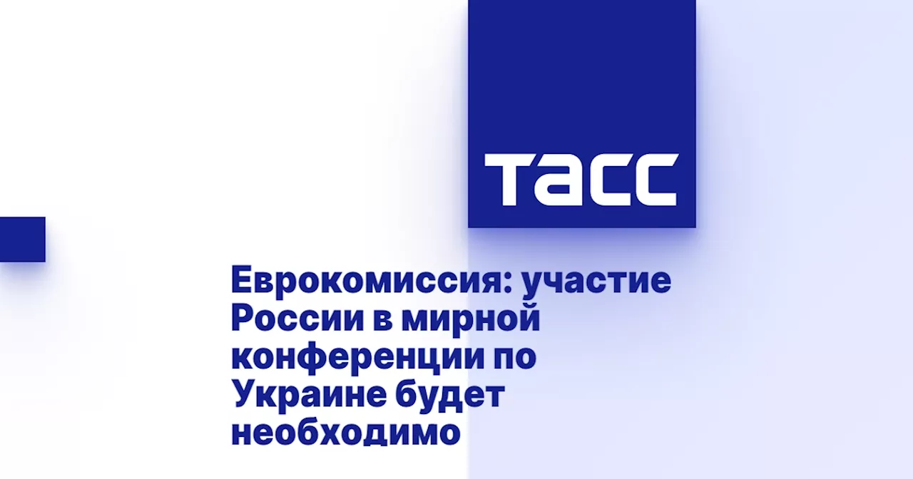 Еврокомиссия: участие России в мирной конференции по Украине будет необходимо