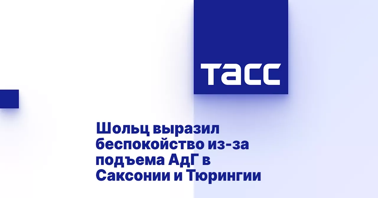 Шольц выразил беспокойство из-за подъема АдГ в Саксонии и Тюрингии