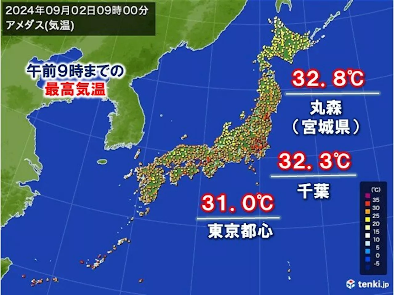 2日 天気回復の関東も気温上昇 朝から30℃超え続出 熱中症対策を万全に(気象予報士 青山 亜紀子 2024年09月02日)