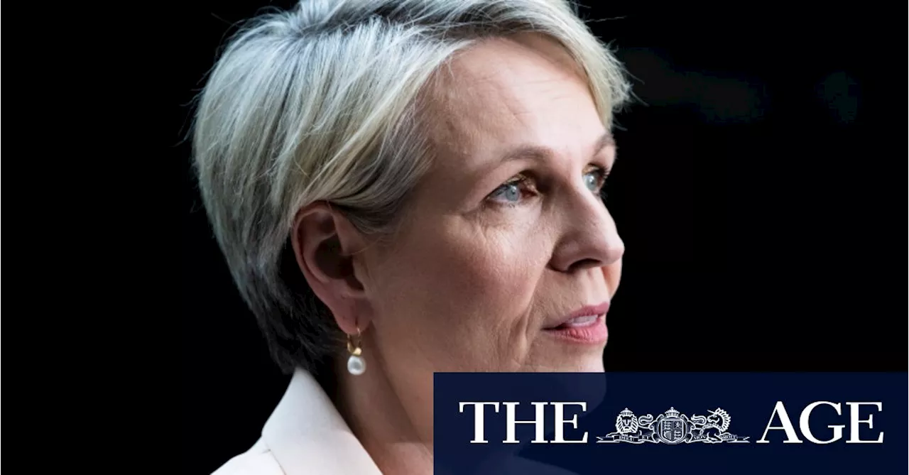 Plibersek accuses Greens of wooing unions at expense of environment