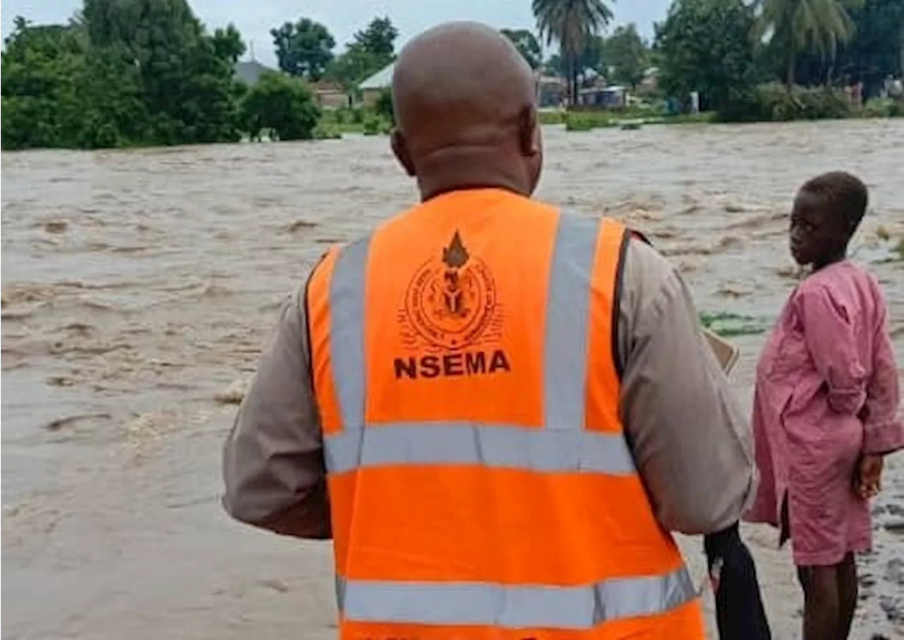 Climate Watch: 1,650 houses destroyed by flood in Yobe, says SEMA