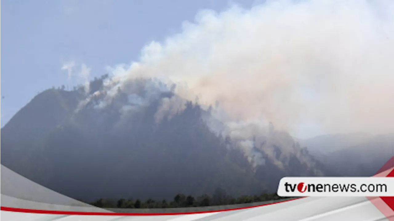 Dampak Kemarau Panjang, Kawasan TNBTS di Bukit Ebeng-ebeng Desa Argosari Terbakar