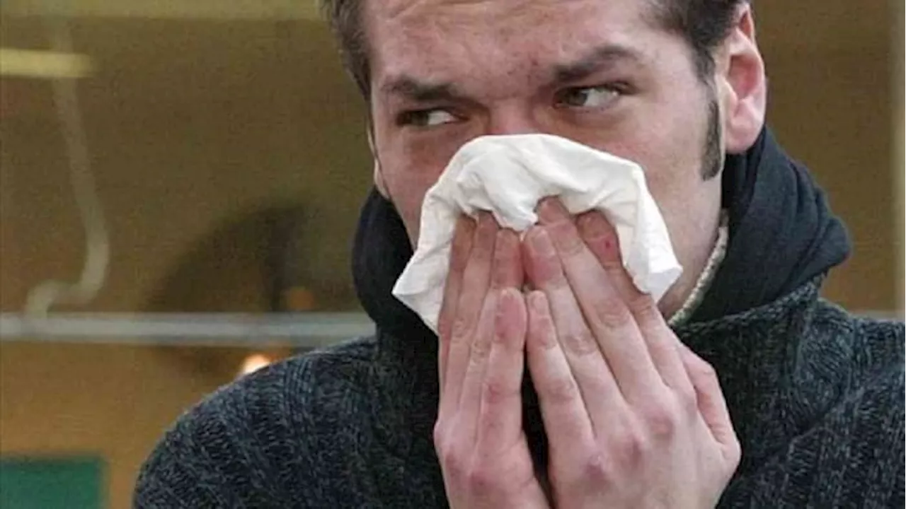 An allergist’s guide to conquering fall allergies