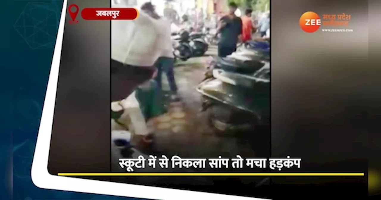 स्कूटी में से निकला 4 फीट लंबा सांप, Video में कैद हुआ पूरा नजारा