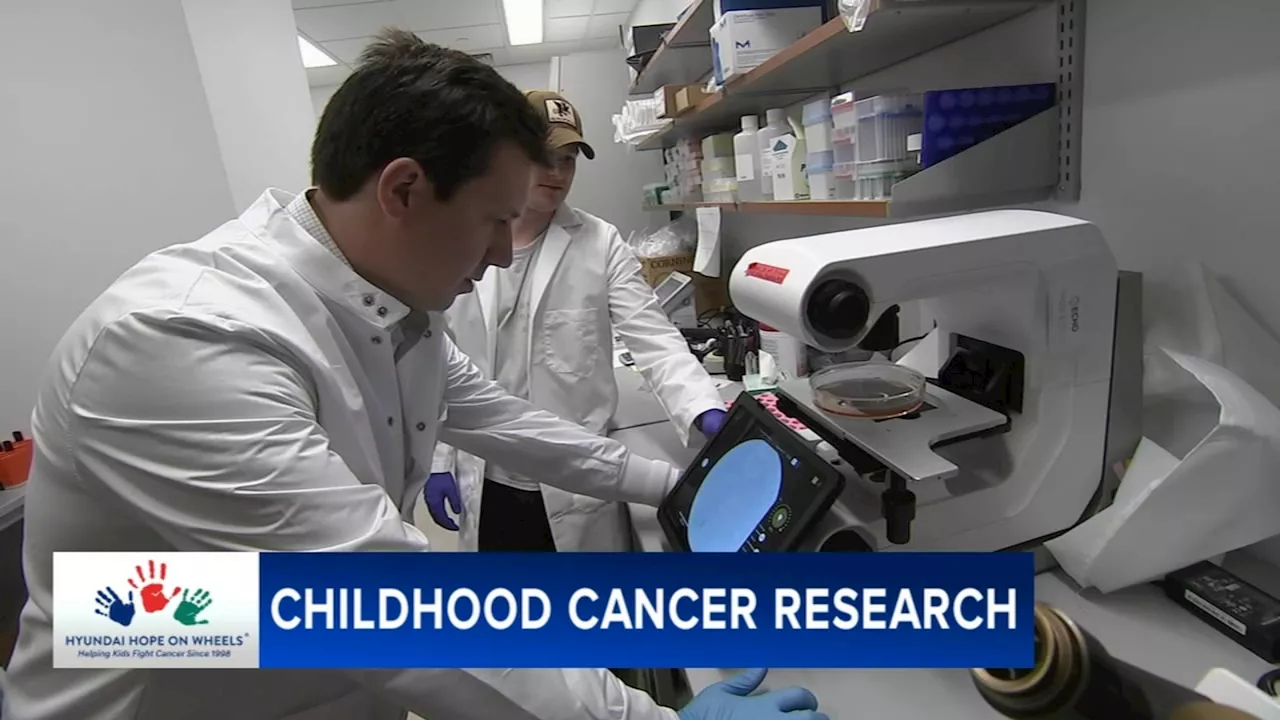 Auto dealers charity Hyundai Hope on Wheels drives funding for new pediatric cancer research