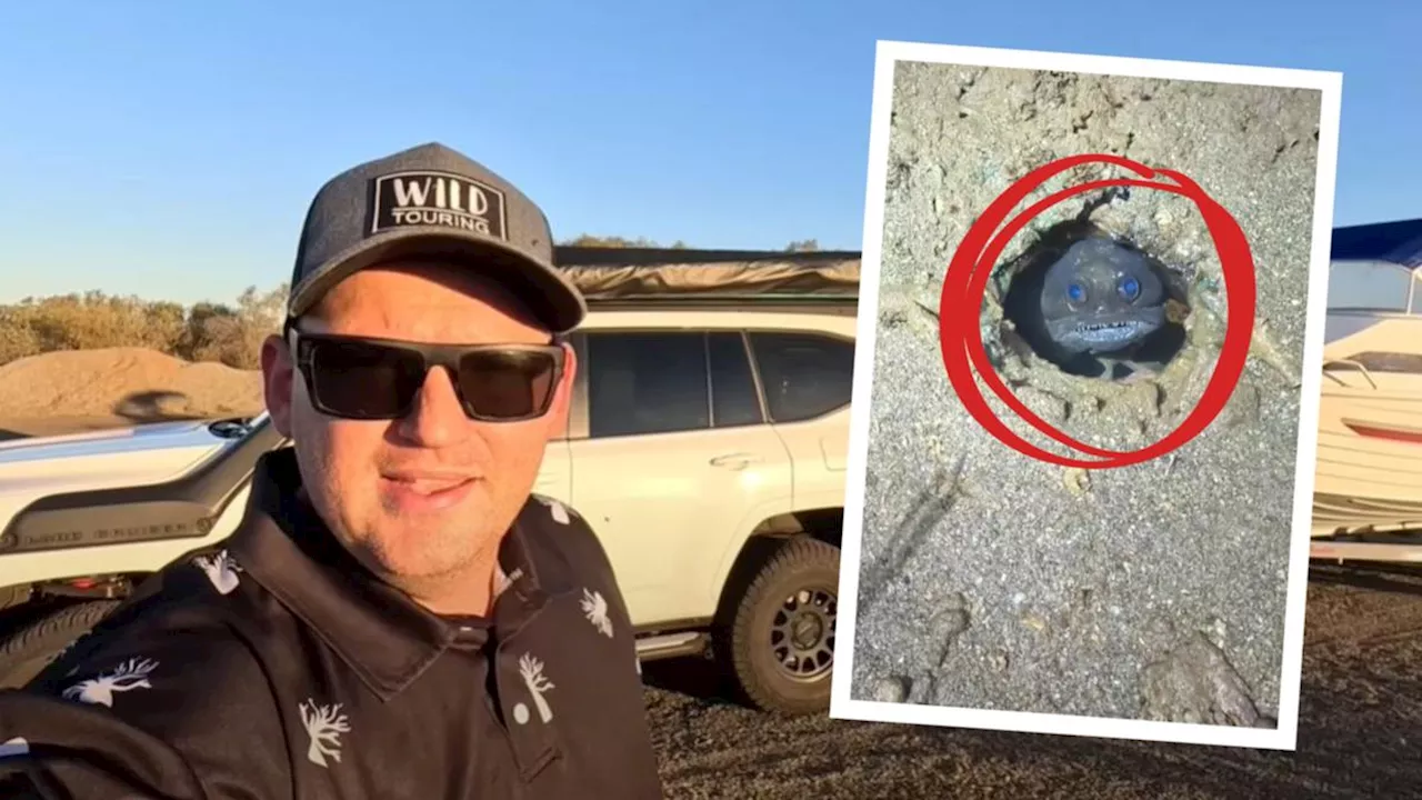 Adventurer Cam Wild discovers ‘psycho’ black jawfish during camping trip on remote WA island