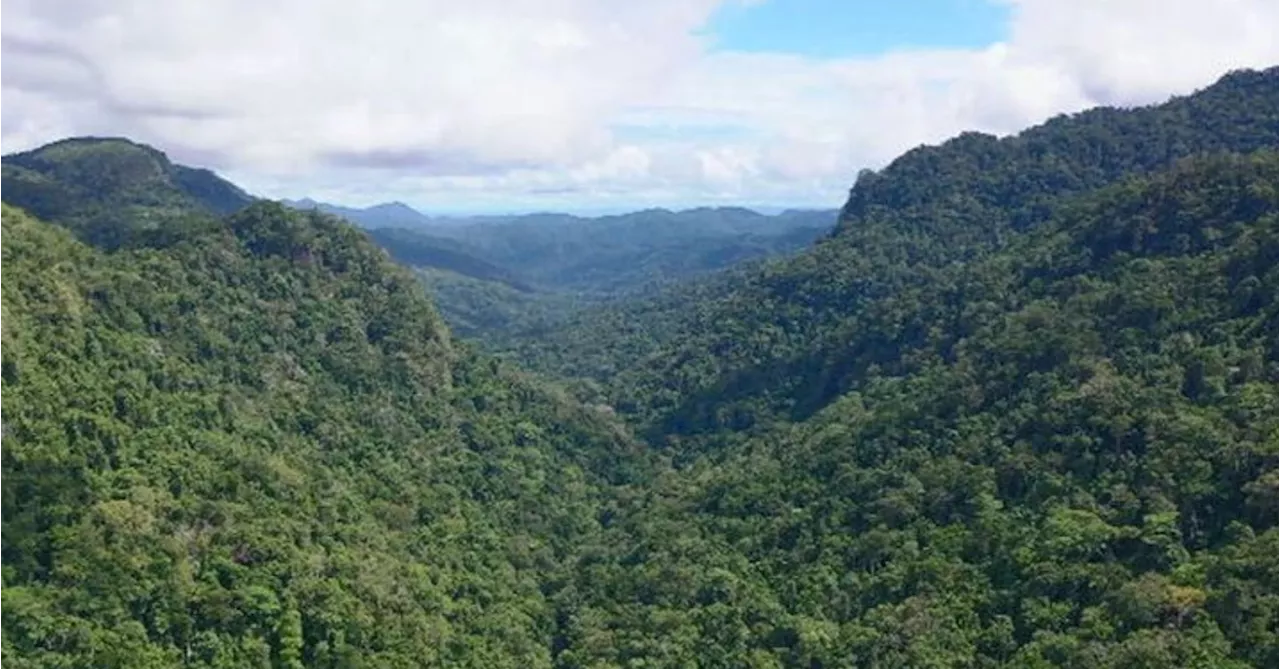 Kokoda Track walk for Australians comes to a halt amid PNG dispute