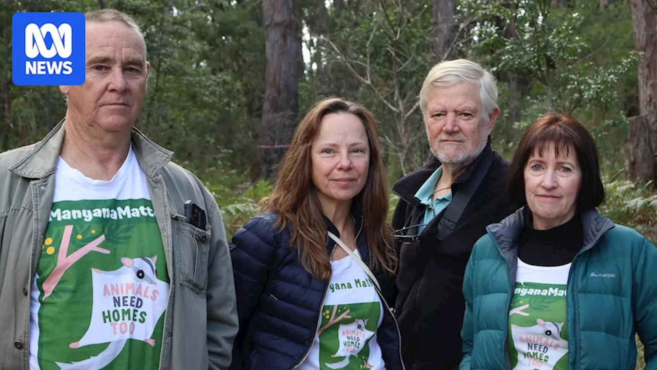 Community 'bitterly disappointed' as Tanya Plibersek approves development in NSW forest