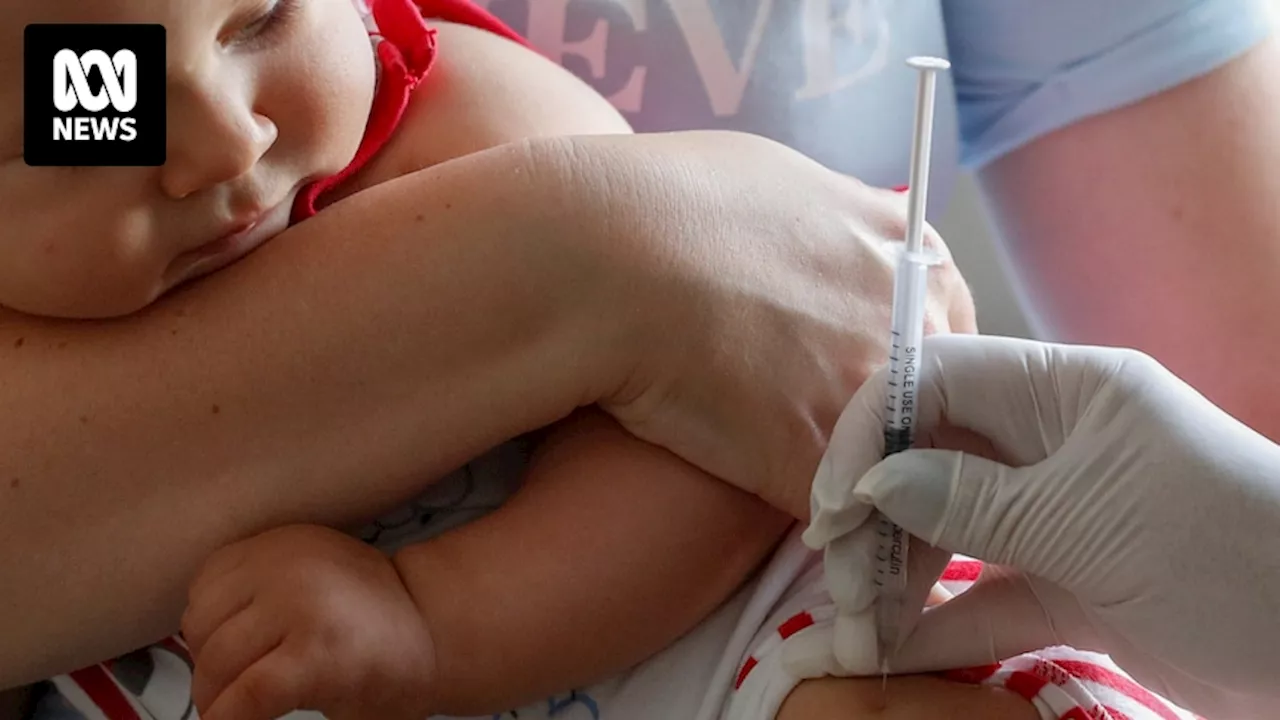 Tasmania in early stage of whooping cough epidemic as authorities urge vulnerable to vaccinate