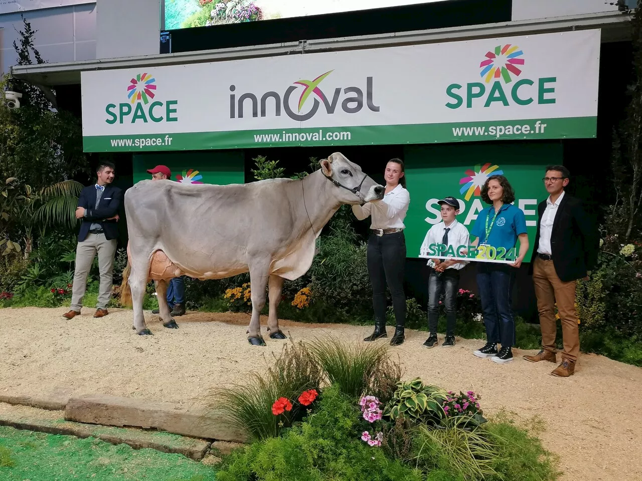 Concours interrégional de race Brune au Space : domination des Côtes-d'Armor