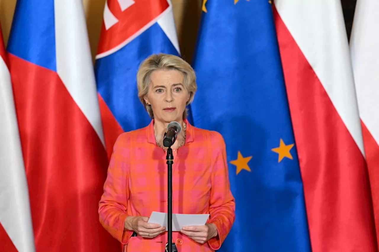 Ucraina, Von der Leyen: 'Dalla Ue 35 miliardi a Kiev'