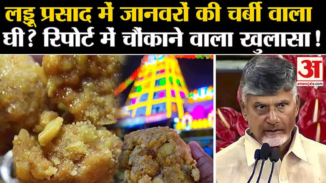 Tirupati Prasadam: लड्डू की गुणवत्ता पर चार दशक से है विवाद, घी पर आंध्र विधानसभा में हो चुका है घमासान