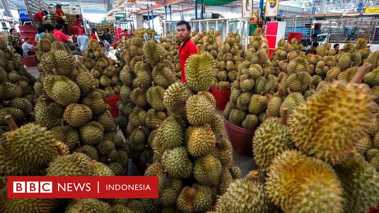 Mengapa durian membuat harga kopi dunia lebih mahal?