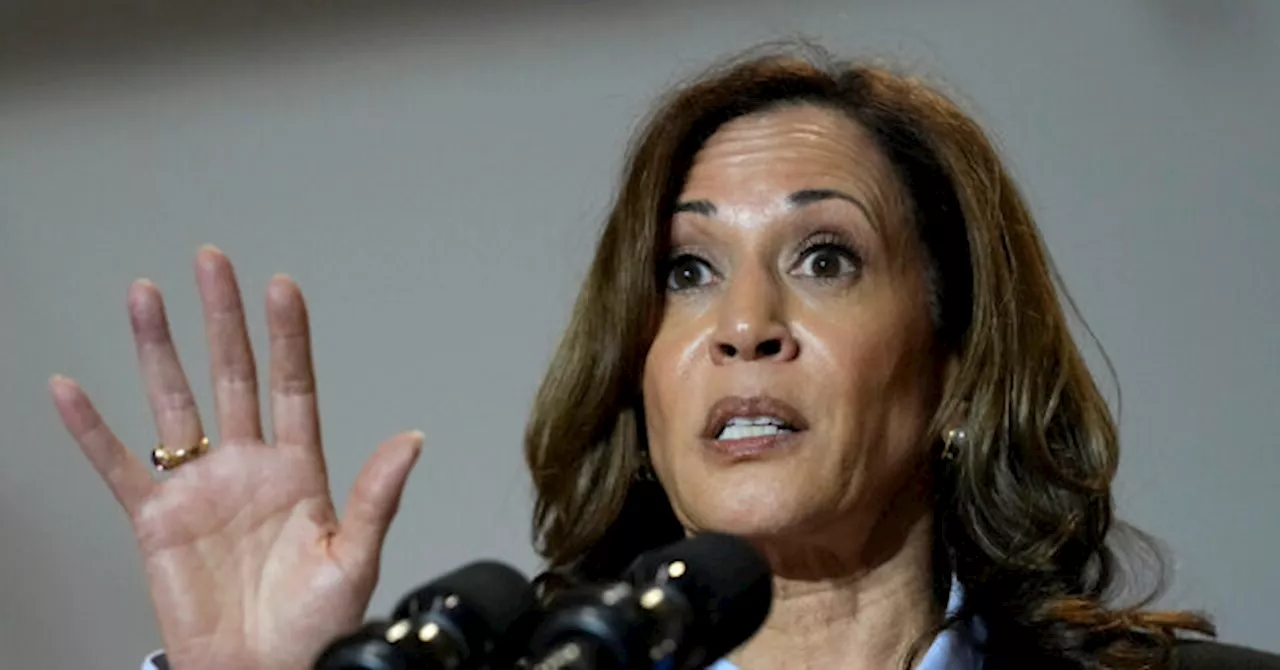 Harris Campaign Claims No Prior Knowledge of Hacked Trump Campaign Materials from Iranians