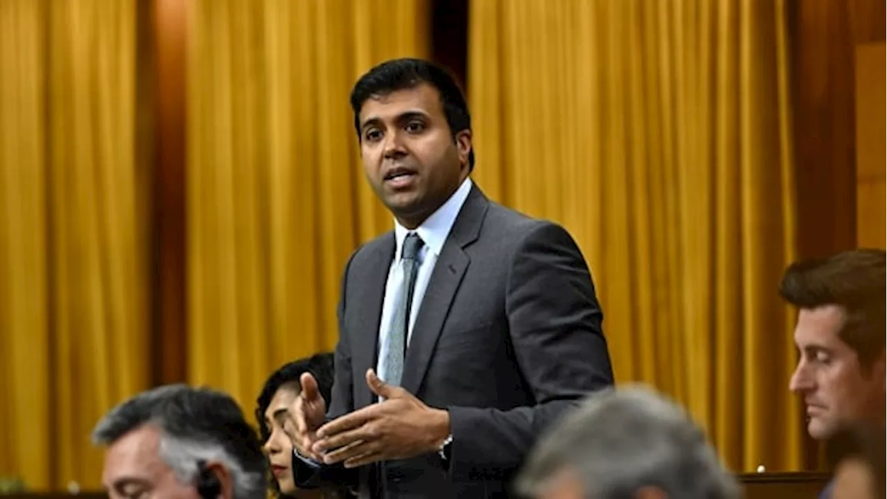 MP says he was 'pushed' by a Parliament Hill protester