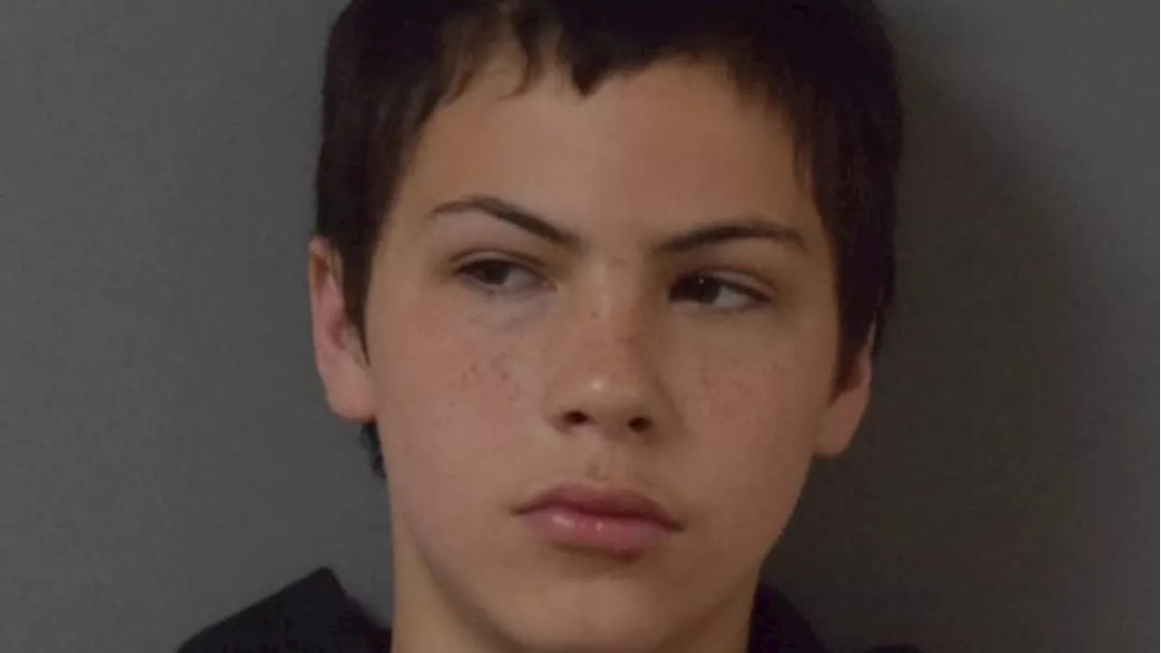 RCMP searching for armed teen in Moncton area