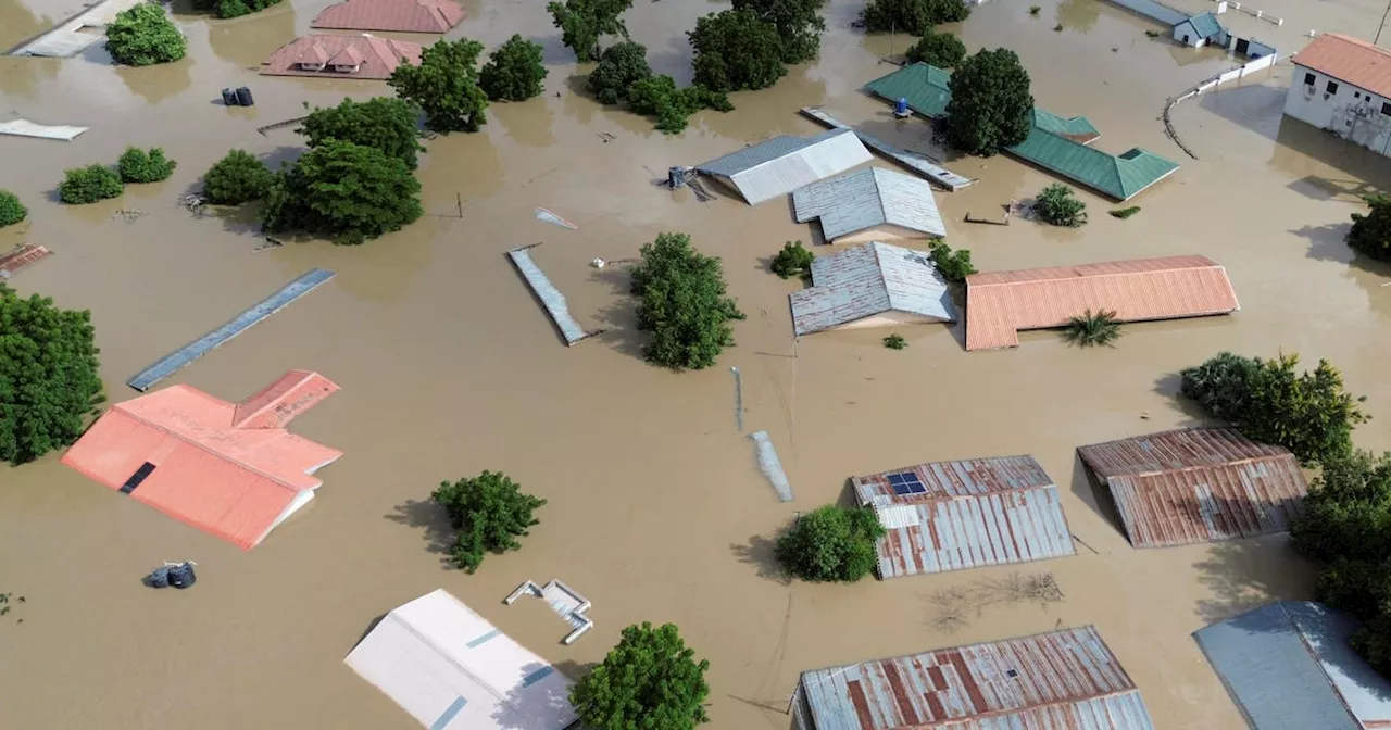 Deadly flooding in West and Central Africa leaves corpses of crocodiles and snakes floating among human bodies