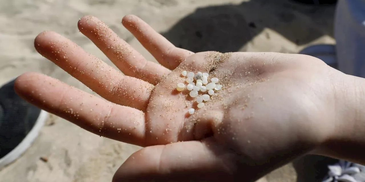 Scientists Who First Identified Threat of Microplastics Say World Must Now Act