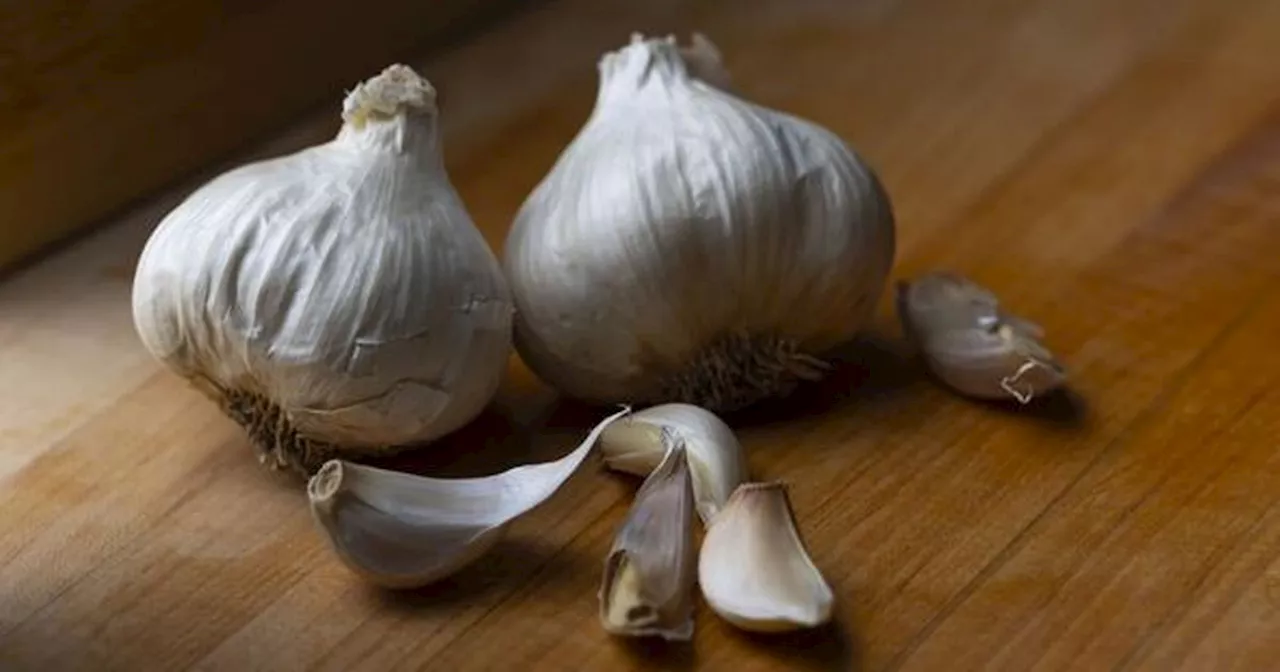 You've been storing garlic wrong as experts share worst place to keep it