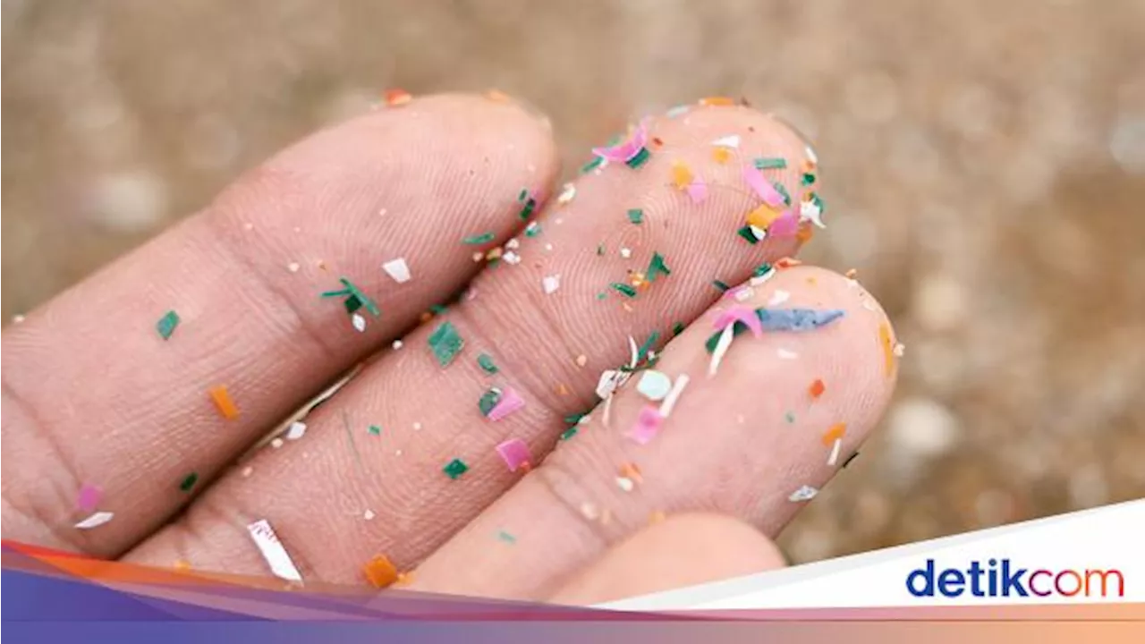 Ilmuwan Temukan Cara Paling Mudah Mikroplastik Masuk ke Otak Manusia: Bernapas