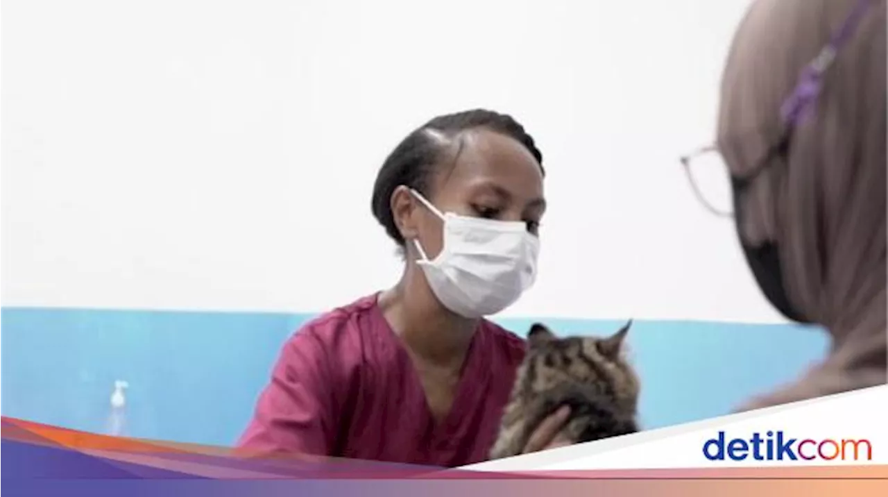 Kisah Amelia, Gadis Papua yang Jadi Dokter Hewan Berkat Beasiswa ADik