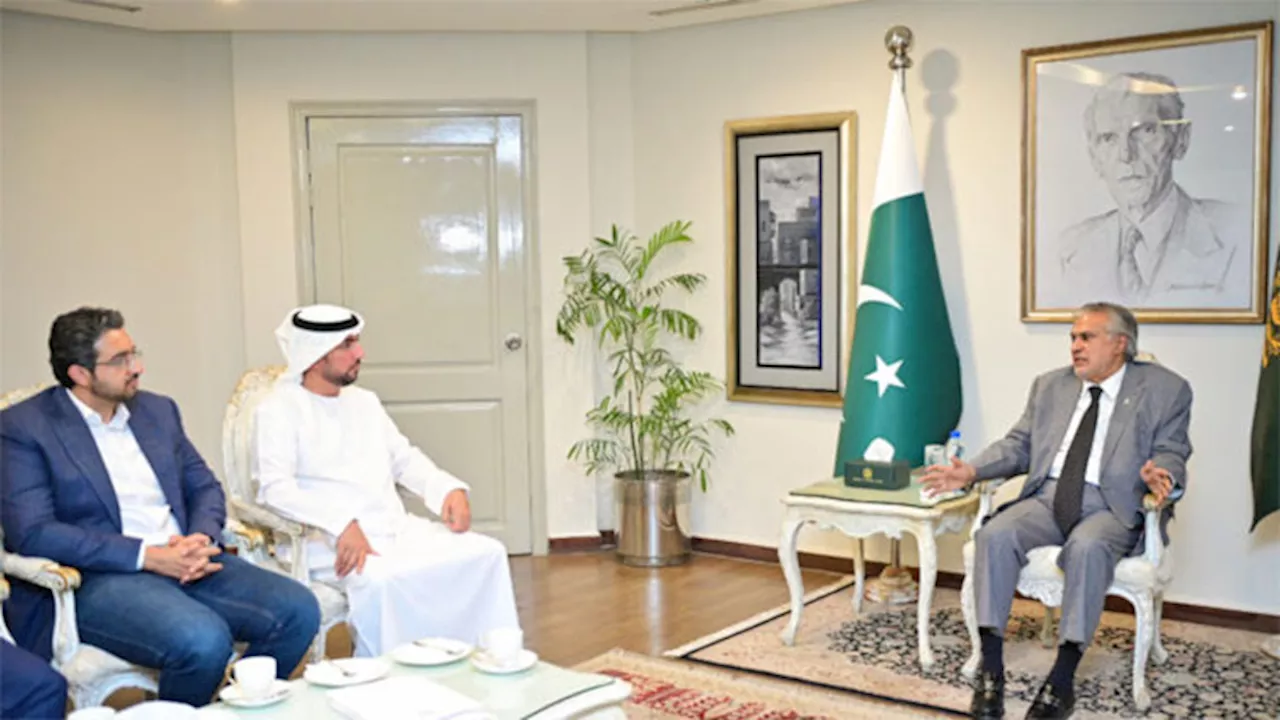 UAE delegation meets DPM Dar to discuss investment in aviation sector