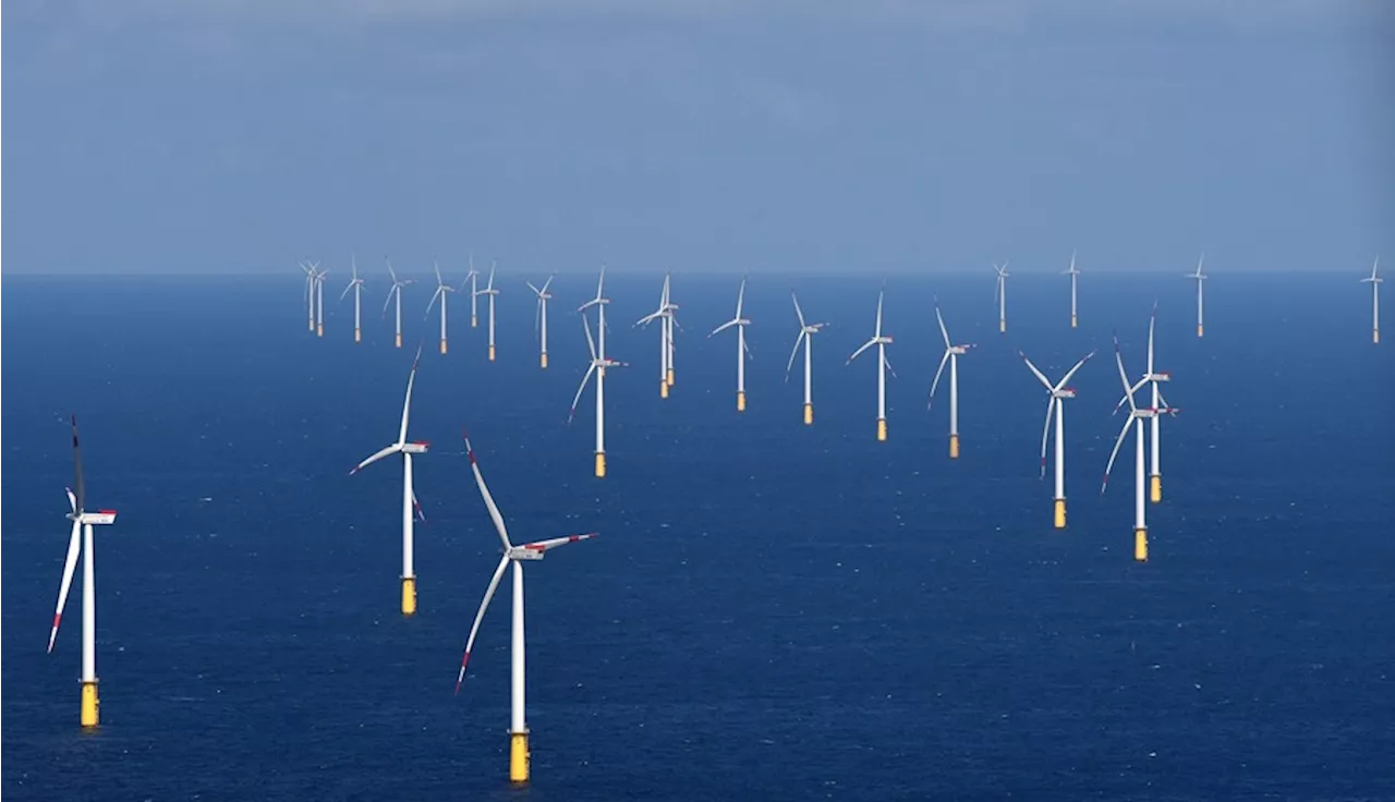 Los parques eólicos marinos, una joven fuente de energía costosa pero más eficiente que la terrestre